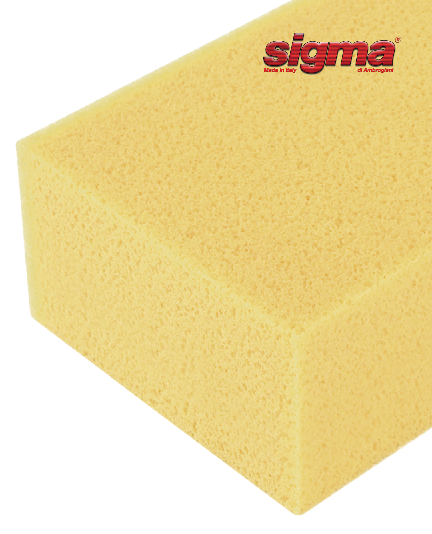 Sigma Hydro Sponge
