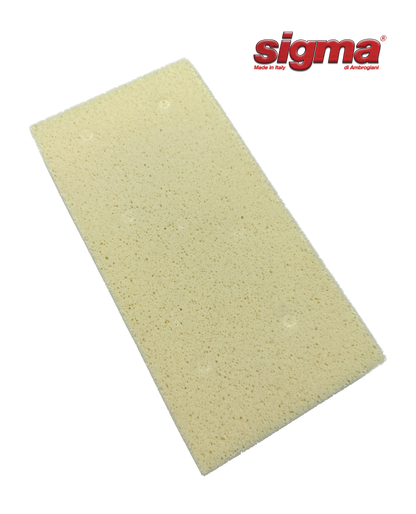 Sigma XL Washboy Float