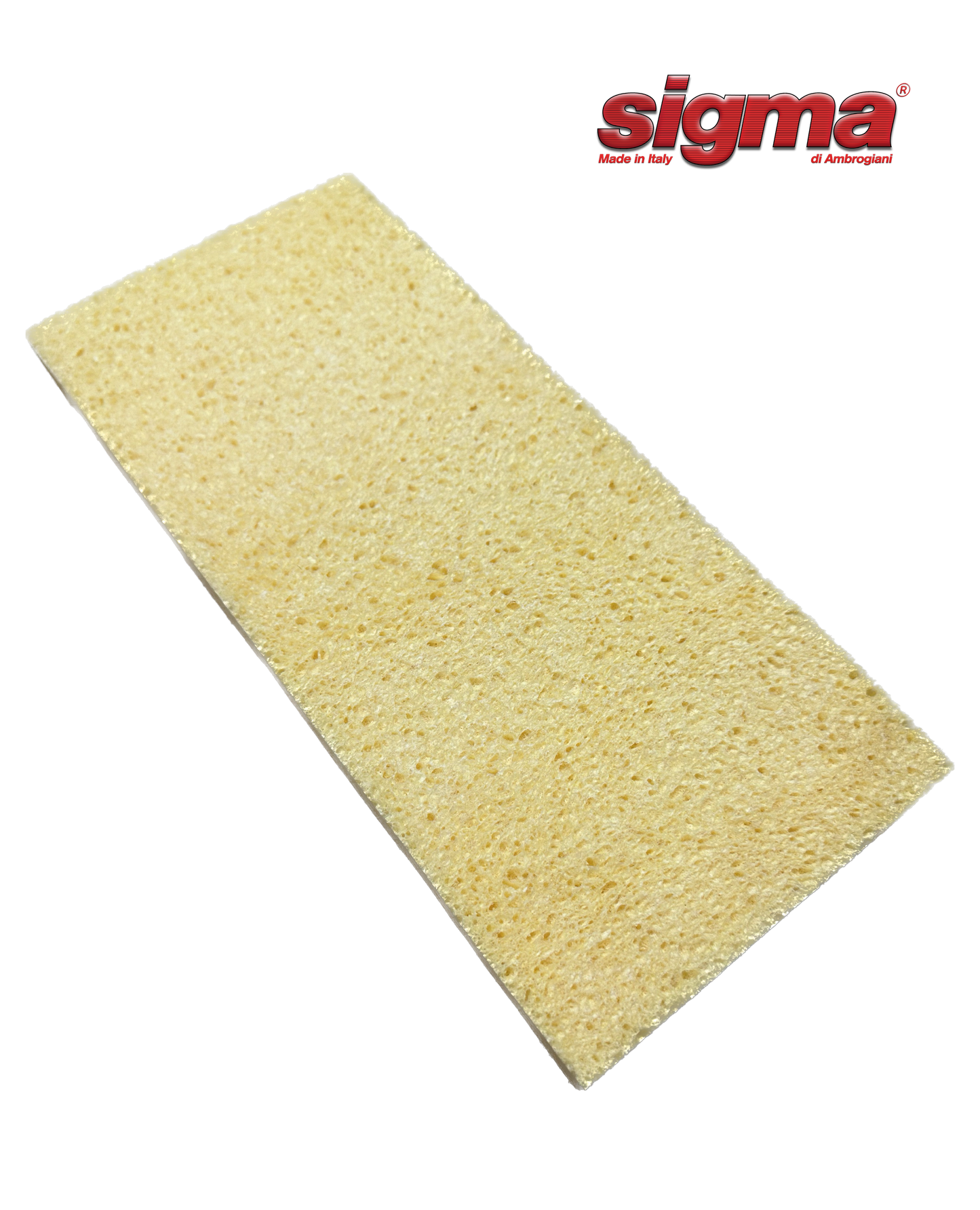 Sigma Epoxy Washboy Float